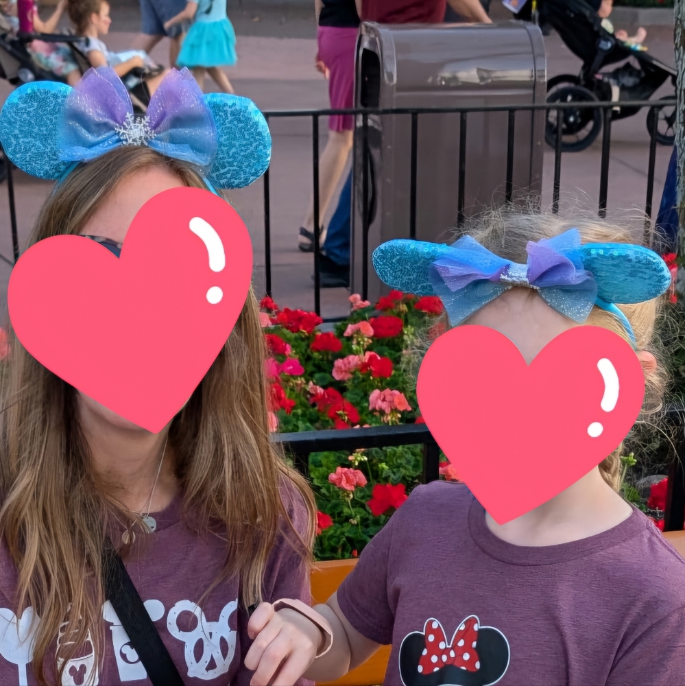 Minnie Ears Lot - Picture 3 of 3